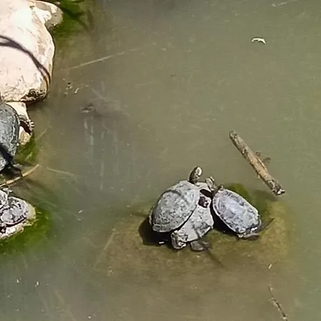 住宿加早餐酒店 Deseada 3*